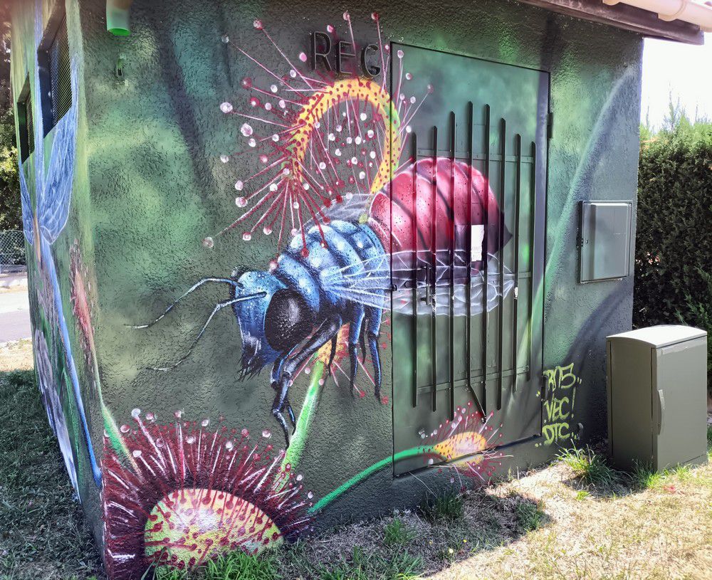 Street-art dans la ville : libellule, serpent et abeille...