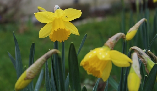 Le coin préféré du jardin du moment