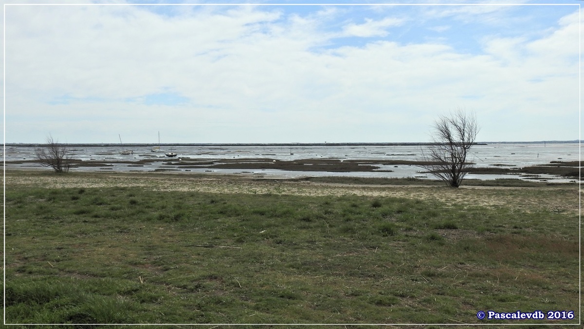 En longeant la plage entre Lanton et Cassy - fin Mars 2016 - 1/8