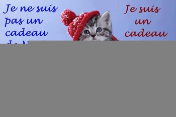 chat cadeau noel