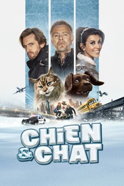 Affiche du film « Chien et chat »