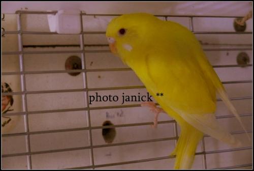 photos