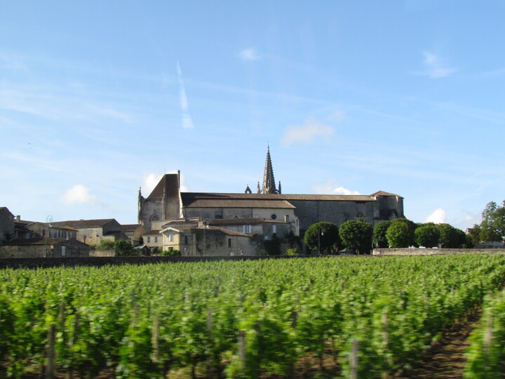 RANDONNEE A SAINT EMILION . 33330 . GIRONDE .