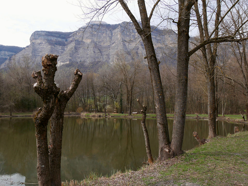 2023.03.18 Marais de Montfort (département Isère) 1