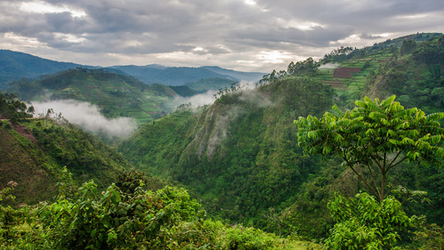 Fall in Love with Nature in Rwanda | Rwanda Safaris Tours | Rwanda