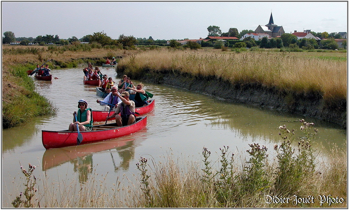 (85) Vendée - Sallertaine (3)