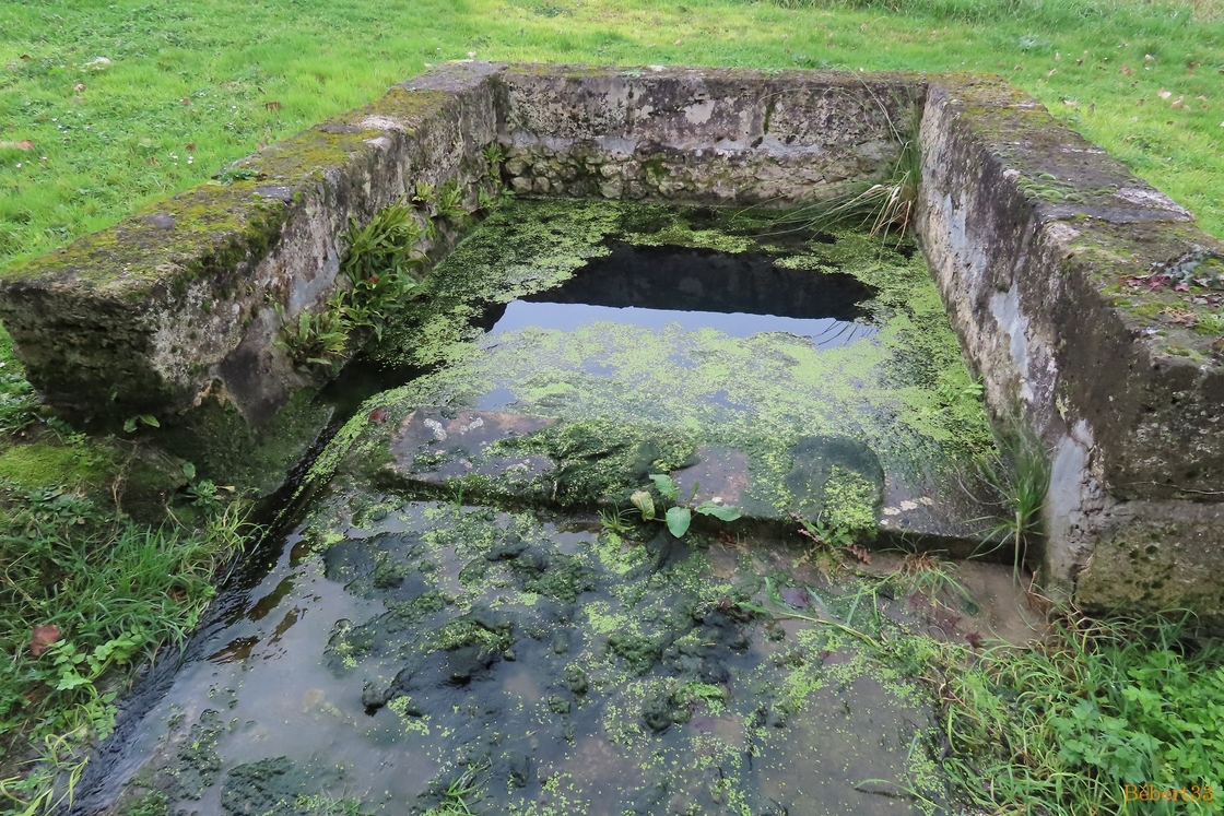 le lavoir de mon village (33)