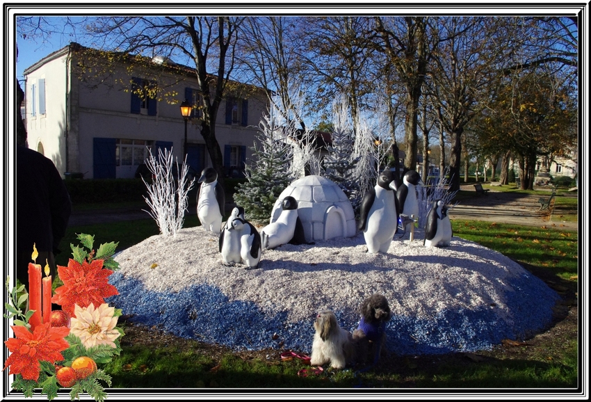 Après l'entraînement de dimanche dernier ,une visite au marché de Noël de St Georges d'Oléron