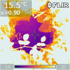 Thermographie : tests d'été du 08/08/2012 - 2294IR