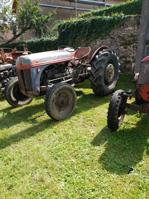 Locomotion en fête (4)