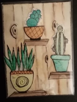 echange  Cactus