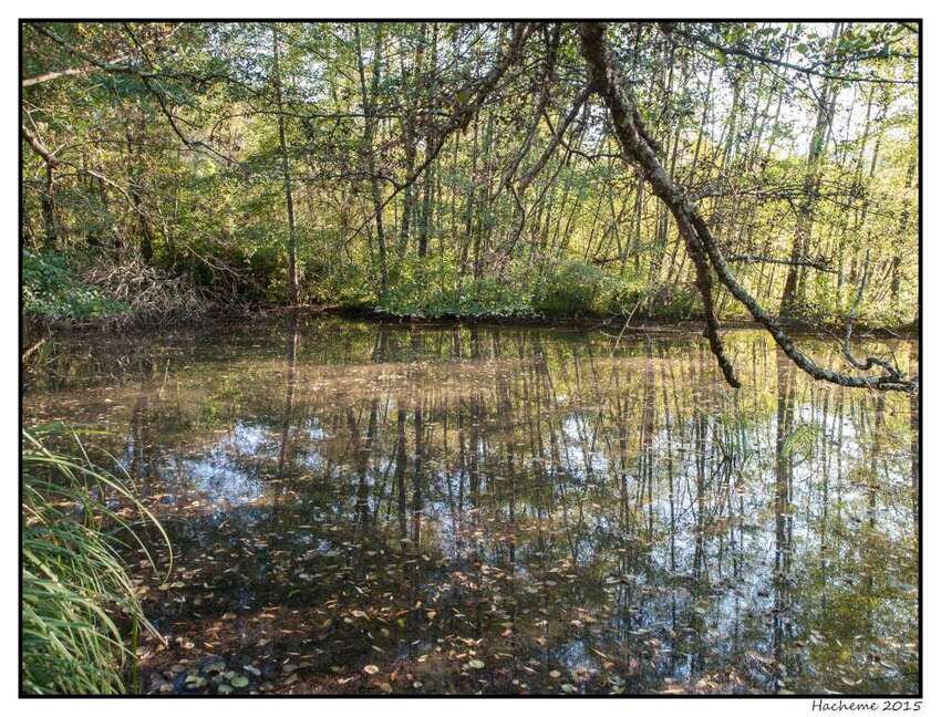 Lac du Causse