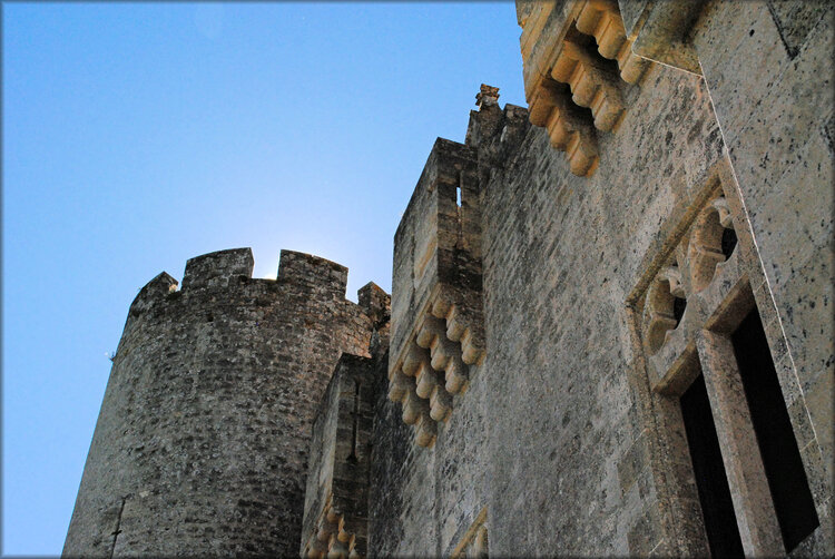 Photos de la visite du Château de Roquetaillade (Gironde)