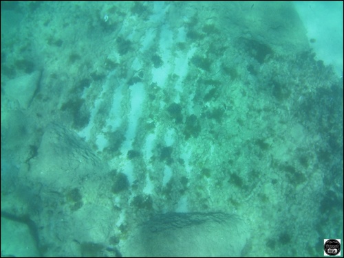 Grèce, vue sous-marine, de la mer Egée