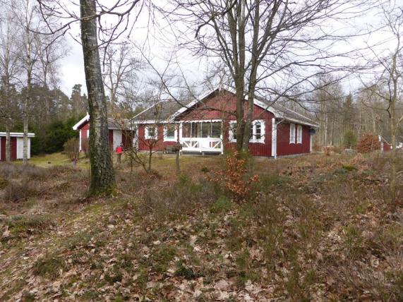 La petite maison dans la forêt