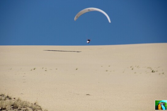 Tour du bassin d'Arcachon : 8 Dune du Pilat