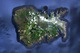 La Polynésie - Nuku Hiva