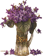 Les Violettes  - cartonnettes