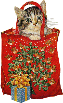 Gif "chat dans sac cadeau"