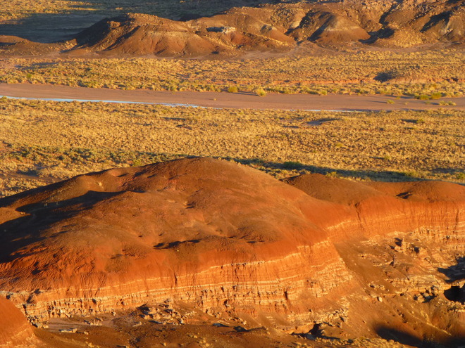 - Petrified Forest.