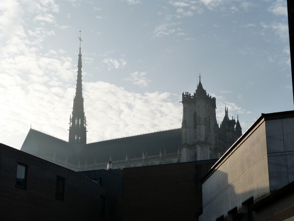 Sélection de la Cathédrale, l'hiver 