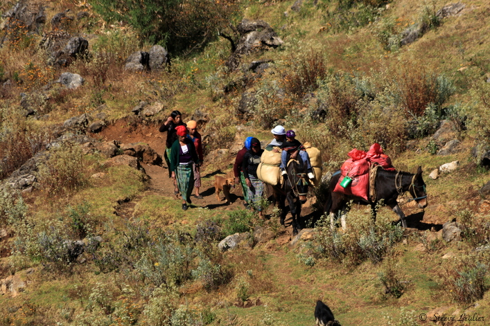 les Cuchumatanes N°3