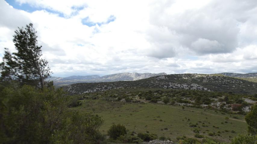 Peut être une image de herbe, montagne, Arthur’s Seat et brouillard