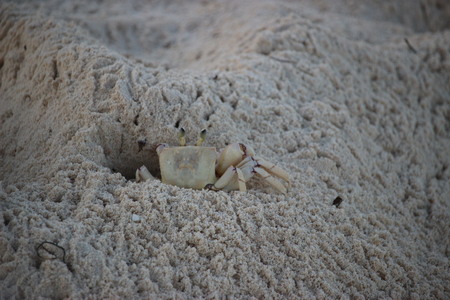 La plage de Matemwe