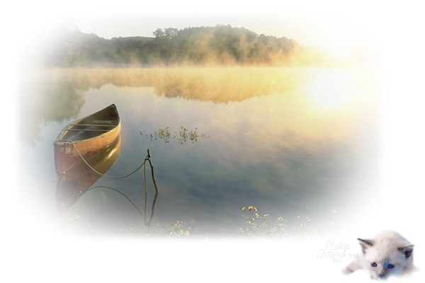 58. Changer un grand détail sur une image
