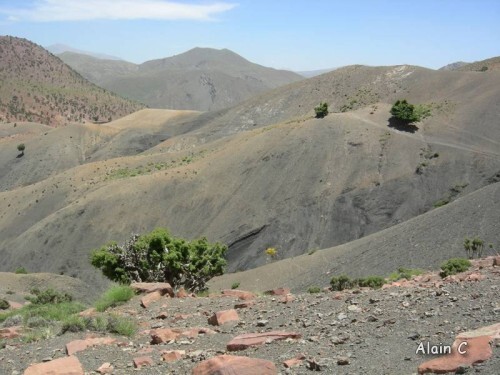 Foret du Haut atlas Maroc 2011 064