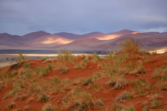 Erg du Namib, la dune Elim