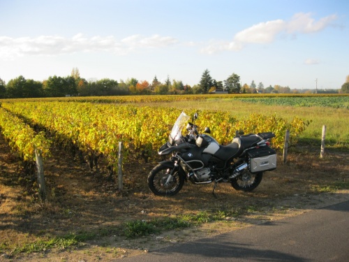 Petite virée à Langeais et Montlouis- Nov 2011