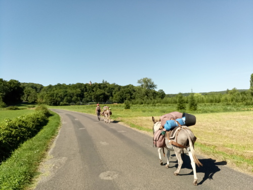 Les grandes oreilles en Corrèze, jour 8 et fin