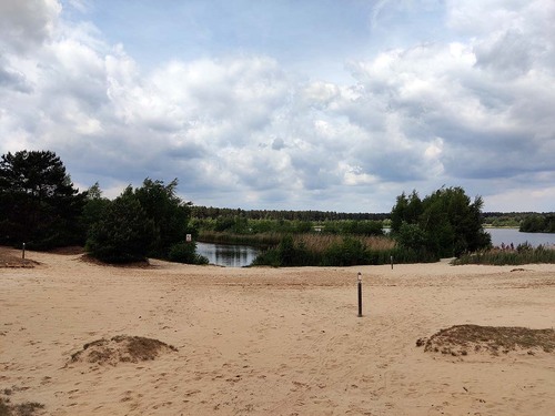 Au désert en Belgique : le Sahara de Lommel