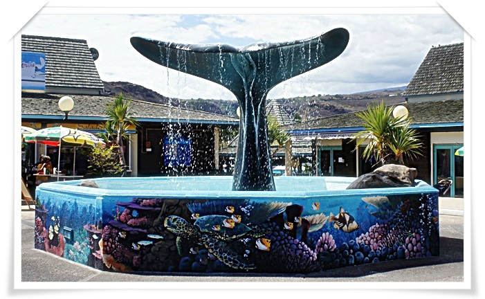 EN FACE AQUARIUM