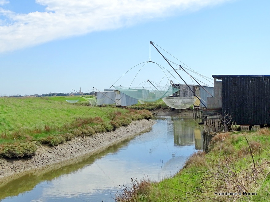 Bouin - Port de la Louippe - 85 