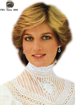 Tube Lady Diana portrait (mist)