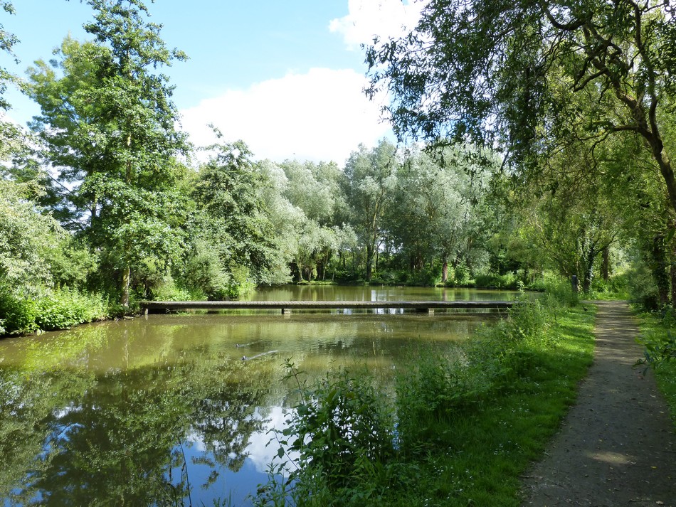 Promenade dans ma ville 