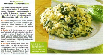 les plantes aromatiques - risotto au basilic