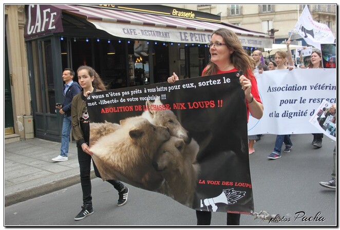 Manifestation du 3 Juin 2017 à Paris .... contre les tirs sur les loups et la chasse