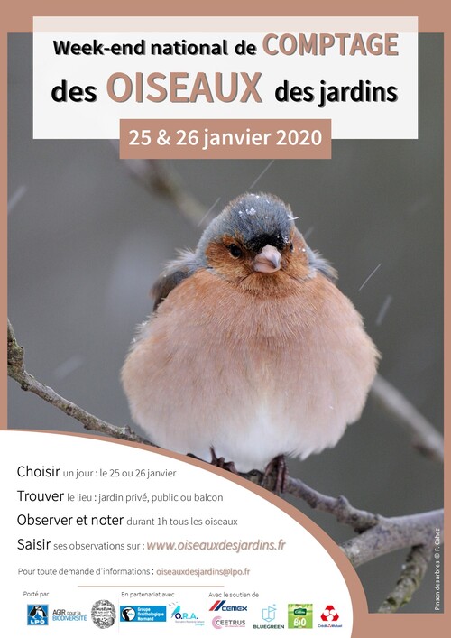 Les 25 et 26 janvier : Comptage national des oiseaux de jardin...