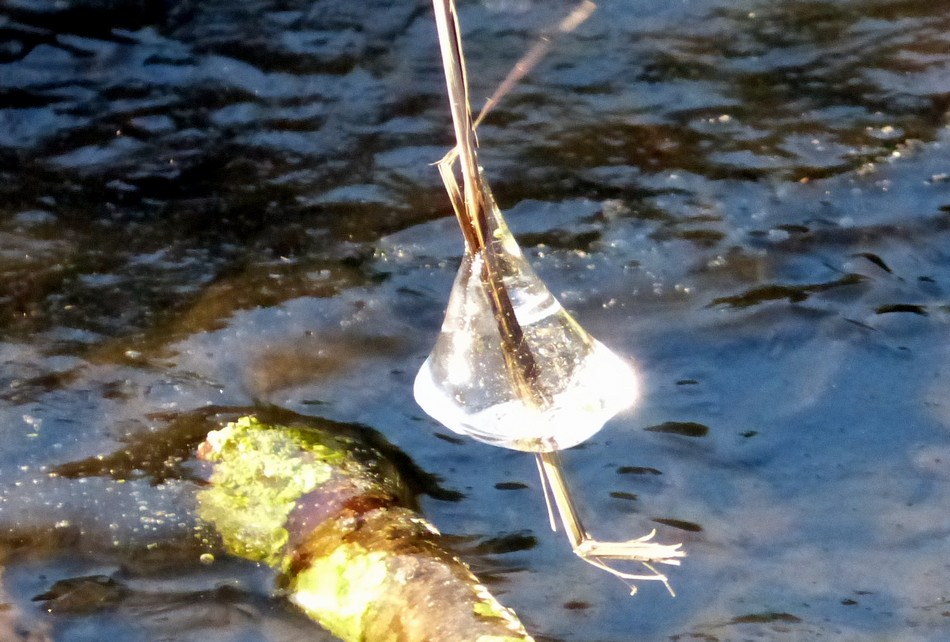 La glace envahit Amiens !  