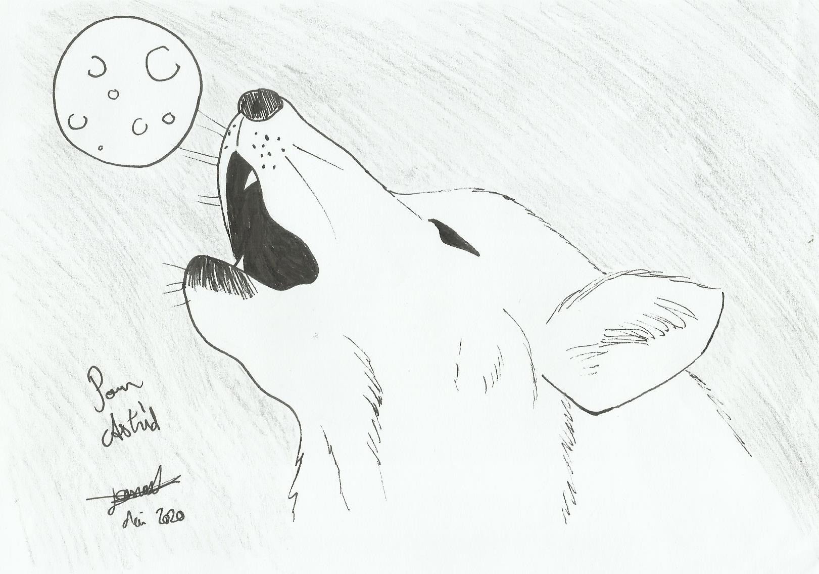 Dessin De Loup Qui Hurle à La Lune Facile Commande n°117: Loup hurlant à la pleine lune (pour Astrid) - Bienvenue dans mon atelier