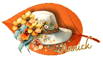 Chapeau automne - jardinage - réception de vos demandes -