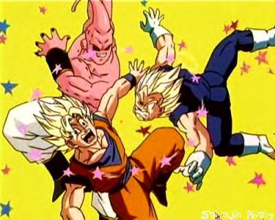 Sangoku,Vegeta et Boubou