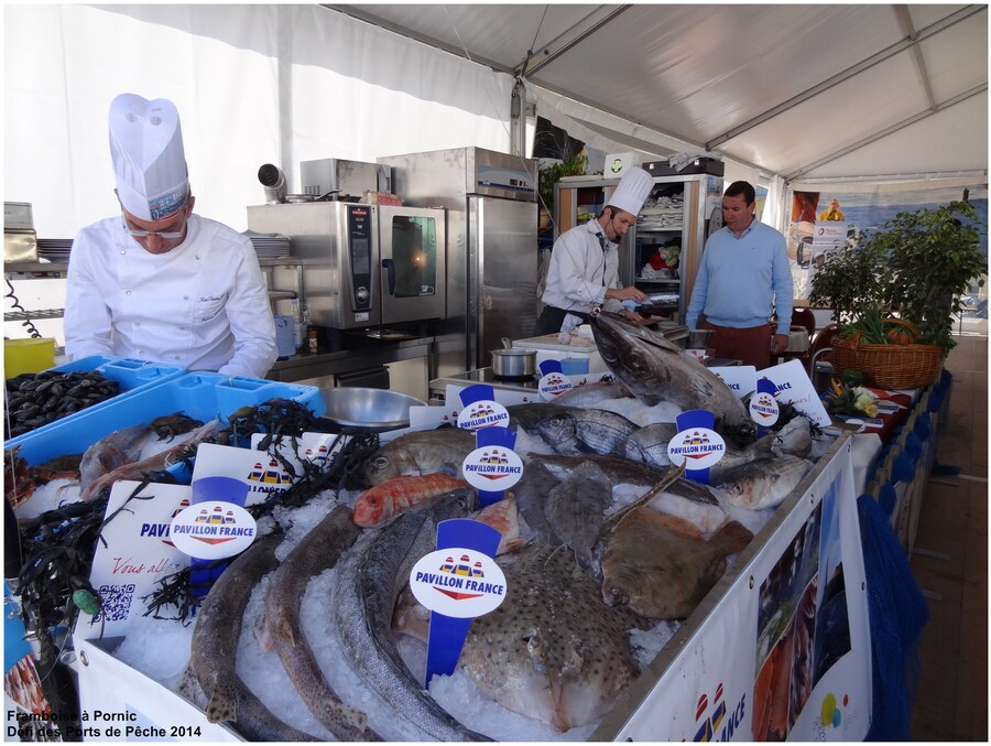 Défi des Ports de pêche à Pornic - 2014