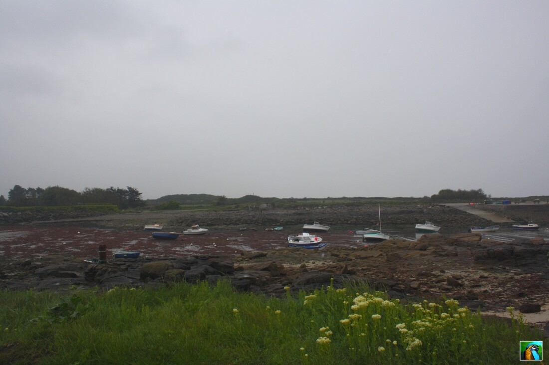 Normandie  mai 2017 : BARFLEUR 2/2