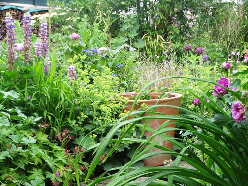 Vues sur le jardin depuis l'intérieur de la maison