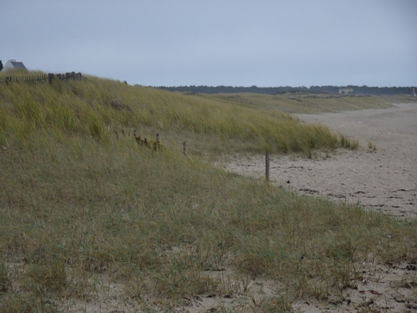 La plage de la Turballe du coté sauvage des dunes