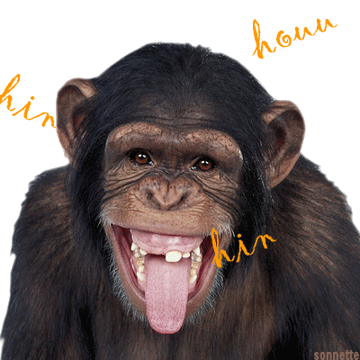 Résultat de recherche d'images pour "singe ivre gif""